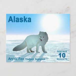 Arctic Fox - Alaska Postage Postkarte