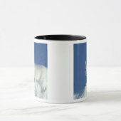 Arctic fox Alopex lagopus) Ein arctic fox Tasse (Zentrum)