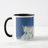 Arctic fox Alopex lagopus) Ein arctic fox Tasse (Links)