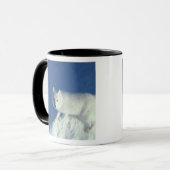 Arctic fox Alopex lagopus) Ein arctic fox Tasse (Vorderseite Links)