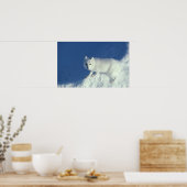 Arctic fox Alopex lagopus) Ein arktischer Fuchs in Poster (Küche)