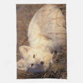 Arctic fox, Alopex lagopus Geschirrtuch (Vertikal)