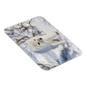 Arctic Fox , Churchill Wildlife Management Area Magnet (Rechte Seite)
