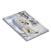 Arctic Fox , Churchill Wildlife Management Area Notizblock (Rechte Seite)