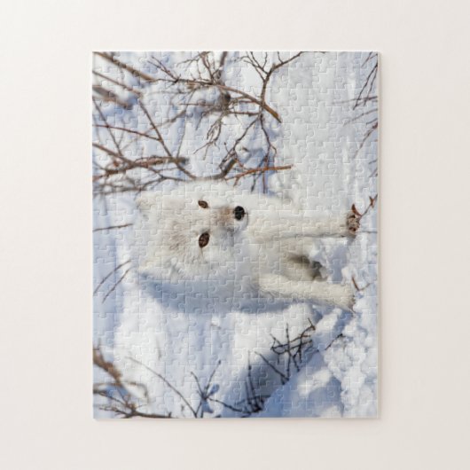 Arctic Fox , Churchill Wildlife Management Area Puzzle (Vertikal)