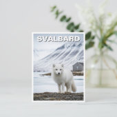 Arctic Fox in Svalbard Norwegen Postkarte (Stehend Vorderseite)