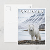 Arctic Fox in Svalbard Norwegen Postkarte (Vorne/Hinten)