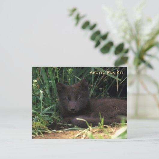 Arctic Fox Kit Wildlife Series # 19 Postkarte (Stehend Vorderseite)