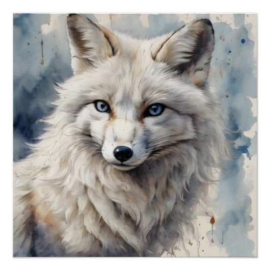 Arctic Fox no 3 Glossy Poster (Vorderseite)