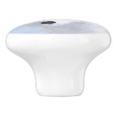 Arctic Fox Painting - Original Wildlife Art Keramikknauf (Seitenansicht)