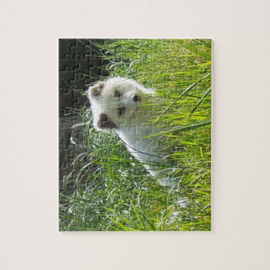 Arctic Fox Puzzle (Vertikal)