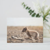 Arctic Fox Svalbard Card (Stehend Vorderseite)