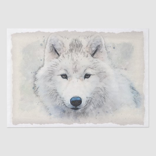 Arctic Fox Watercolor Seidenpapier (Vorderseite)