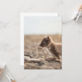 Arctic Fox Wildlife Photo Karte (Vorderseite/Rückseite Beispiel)
