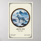 Arctic Fox Zoologie-Serie Poster (Vorne)
