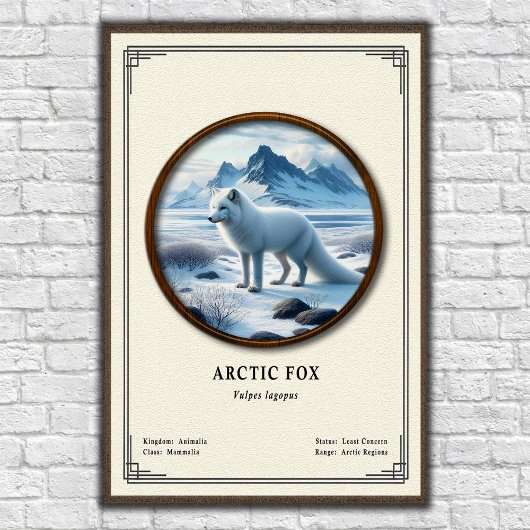 Arctic Fox Zoologie-Serie Poster