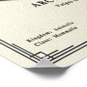 Arctic Fox Zoology Series Poster (Ecke)