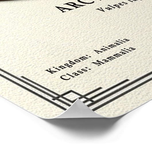 Arctic Fox Zoology Series Poster (Ecke)