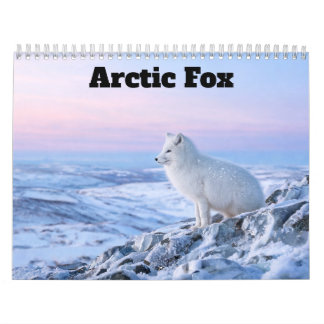 Arctic-Fuchs 2027 Kalender