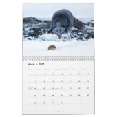Arctic-Fuchs 2027 Kalender (Mär 2027)