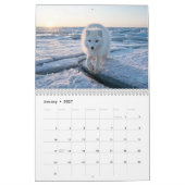 Arctic-Fuchs 2027 Kalender (Jan 2027)