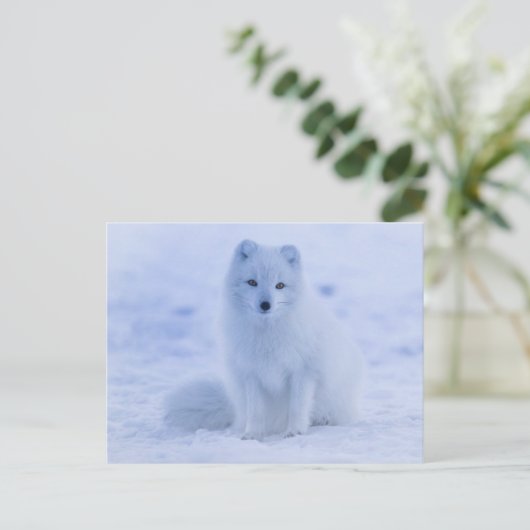 Arctic Fuchs Postkarte (Stehend Vorderseite)