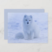 Arctic Fuchs Postkarte (Vorne/Hinten)
