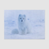 Arctic Fuchs Tissue Paper Seidenpapier (Vorderseite)