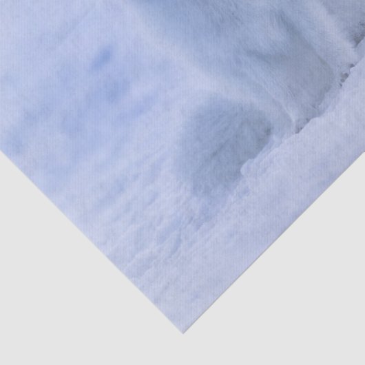 Arctic Fuchs Tissue Paper Seidenpapier (Ausschnitt)