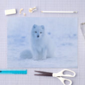 Arctic Fuchs Tissue Paper Seidenpapier (Handwerk)