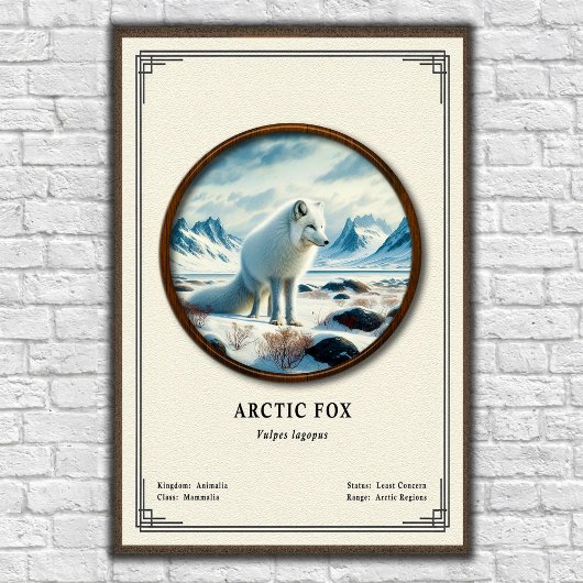 Arctic-Fuchs-Zoologie-Serie Poster