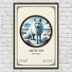 Arctic-Fuchs-Zoologie-Serie Poster