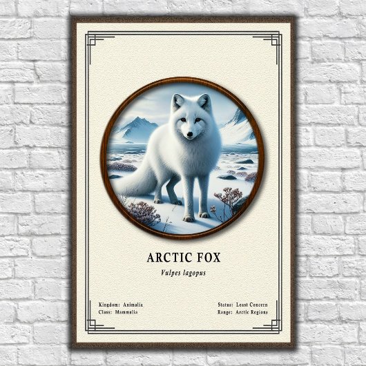 Arctic-Fuchs-Zoologie-Serie Poster