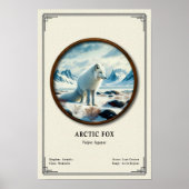 Arctic-Fuchs-Zoologie-Serie Poster (Vorne)