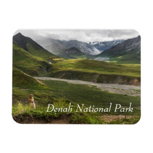 Arctic Ground Squirrel Denali Magnet