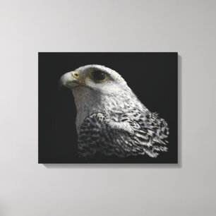 Arctic Gyrfalcon Portrait Painting Leinwanddruck