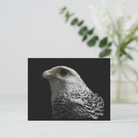 Arctic Gyrfalcon Postkarte (Stehend Vorderseite)