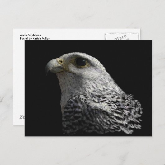 Arctic Gyrfalcon Postkarte (Vorne/Hinten)