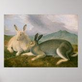Arctic Hares Couple Landschaft Aquarellöl Poster (Vorne)