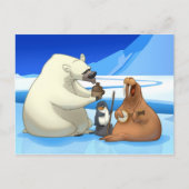 Arctic Jug Band Postkarte (Vorderseite)