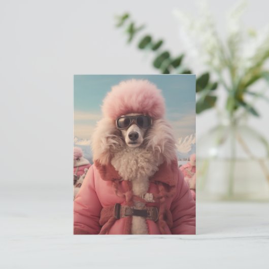 Arctic Poodle Postkarte (Stehend Vorderseite)