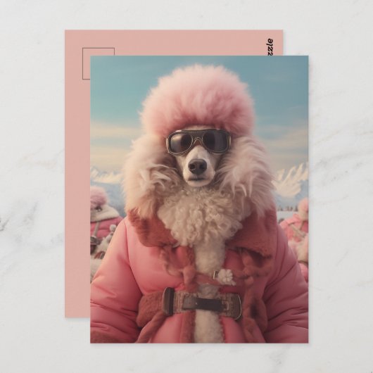 Arctic Poodle Postkarte (Vorne/Hinten)