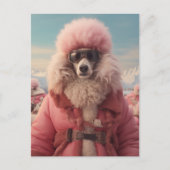 Arctic Poodle Postkarte (Vorderseite)