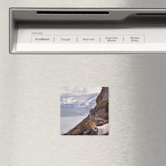 Arctic Rock Magnet (In Situ (Geschirrspüler))