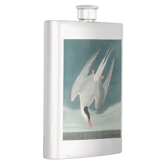 Arctic Tern Audubon Bird Wildlife Painting Flachmann (Rechts)