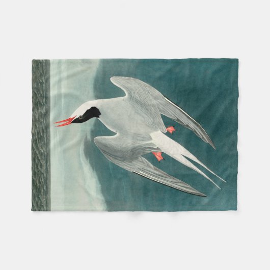 Arctic Tern Audubon Bird Wildlife Painting Fleecedecke (Vorderseite (Horizontal))
