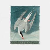 Arctic Tern Audubon Bird Wildlife Painting Fleecedecke (Vorderseite)