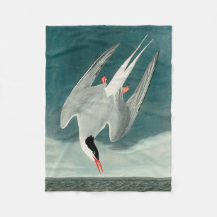 Arctic Tern Audubon Bird Wildlife Painting Fleecedecke