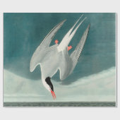 Arctic Tern Audubon Bird Wildlife Painting Geschenkpapier (Flach)