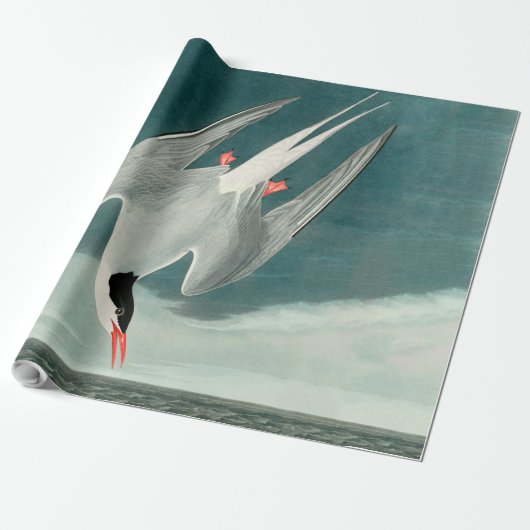 Arctic Tern Audubon Bird Wildlife Painting Geschenkpapier (Ungerollt)